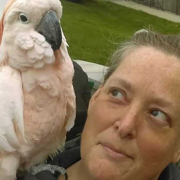 Profile Picture of Heidi Kara (@chazlinlu) on Poshmark