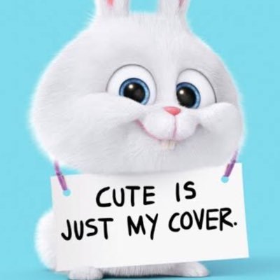 Profile Picture of Katie Dunstan (@KatieDunstan4) on Twitter