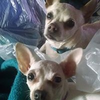 Profile Picture of Shelly Tilley (@shelly-tilley) on Quora