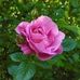 Profile Picture of Wanda Mull (@wanda.mull.5) on Facebook