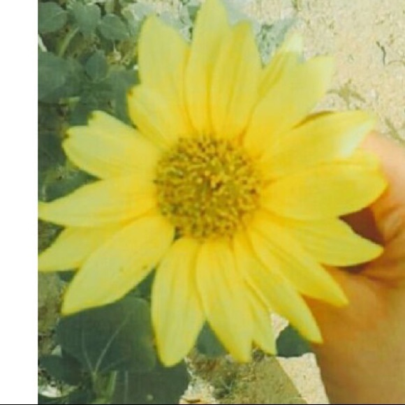 Profile Picture of Ggabriela Espinola (@gabriela_em) on Poshmark