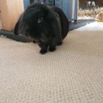Profile Picture of peter mayers (@mayers.peter) on Instagram