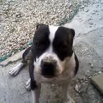 Profile Picture of Ruby Scudder (@ruby.scudder.5) on Facebook