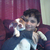 Profile Picture of Daniel Ard (@danielard1605) on Youtube