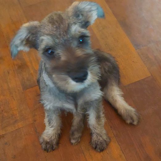 Profile Picture of Jimmy (@jimmygamez8) on Tiktok