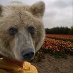 Profile Picture of neveu paul (@paolo35neveu) on Instagram