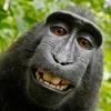 Profile Picture of benjaminlill (@benjaminlill) on Tiktok