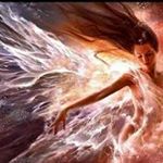 Profile Picture of Fidencio Perez (@edgarchicho234) on Instagram