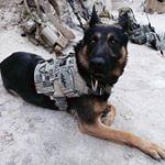 Profile Picture of randy bailey (@randybailey433) on Instagram