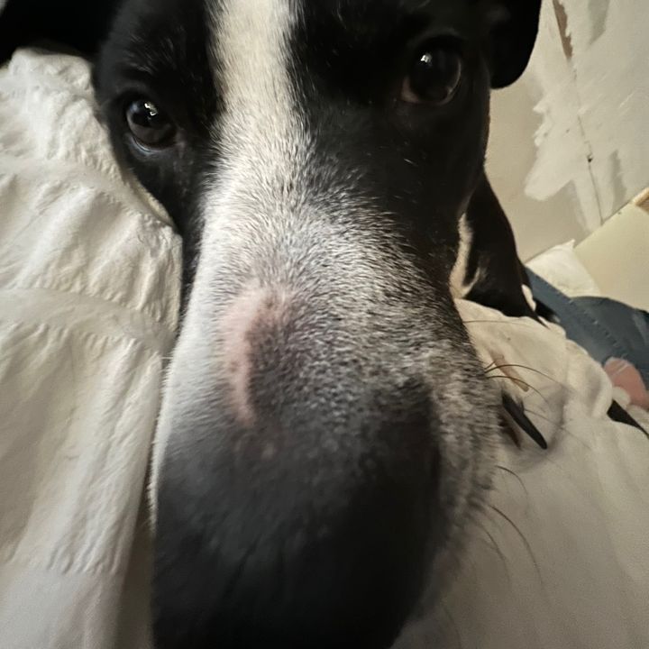 Profile Picture of Magic Mark (@markstrack) on Tiktok