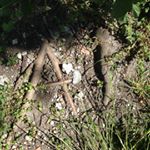 Profile Picture of Alice Galeotti (@alicegaleotti) on Instagram