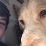 Profile Picture of andrew east (@andrew.c.east) on Instagram