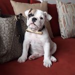 Profile Picture of Chase McCain (@chasemccain30) on Instagram