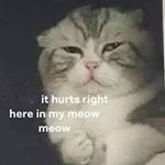 Profile Picture of Michael Wazowski Lisotto (@puddytatslayer) on Instagram