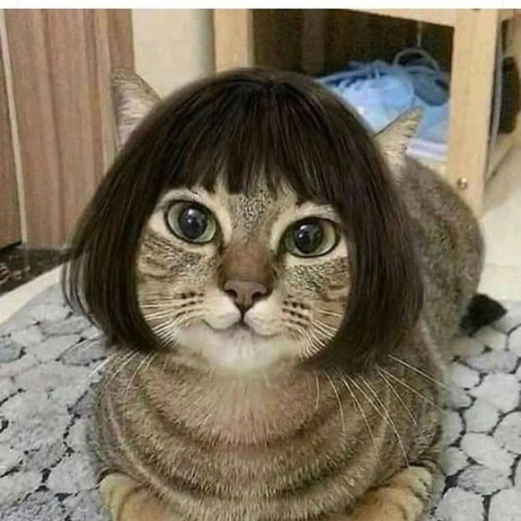 Sue Sperko - Poshmark Profile Picture of Sue Sperko (@susperko) on Poshmark