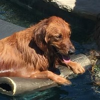 Profile Picture of Bailey Morrow (@bailey-morrow-1) on Quora