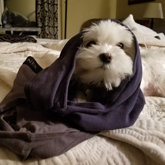 Profile Picture of Lisa Yates (@lisacyates) on Poshmark