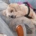 Profile Picture of Beth Frazier (@beth.frazier.5686) on Facebook