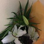 Profile Picture of Patrick Jacoby (@jacoby3933) on Instagram