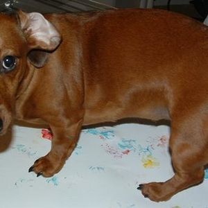 Profile Picture of Mandy Conway (@howlingweiner) on Myspace