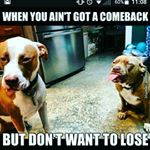 Profile Picture of Isaballa Serna (@izzy.590) on Instagram