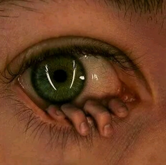 Profile Picture of Lyn Bendall (@a80wizard) on Poshmark