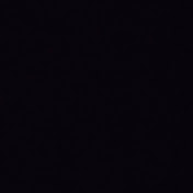 Profile Picture of Steven Elmer (@stevenelmer8475) on Youtube