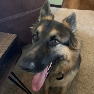 Profile Picture of Robert Stroman (@Fade_To_Red) on Twitter