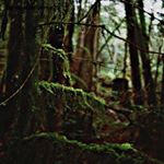 Profile Picture of Pamela Myers (@pamelamyerse29) on Instagram