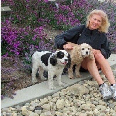 Profile Picture of Diane Lussier (@diane4181) on Twitter