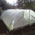 Profile Picture of Harold Martin (@harold_martin_andrews) on Instagram