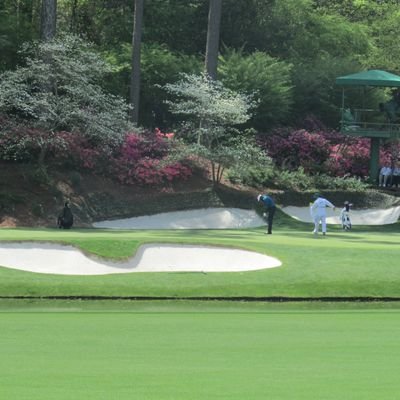 Profile Picture of Tom Bettinger (@TomBettinger) on Twitter