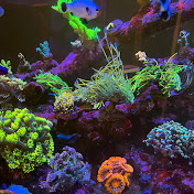 Profile Picture of Claude Allen (@7gsReef) on Youtube