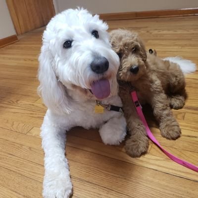 Profile Picture of Joseph Raney (@Joeyraney) on Twitter