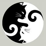 Profile Picture of Laura (@schwalbe_24) on Instagram