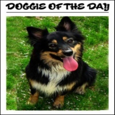 Profile Picture of Abdul Scott (@AbdulScott1) on Twitter