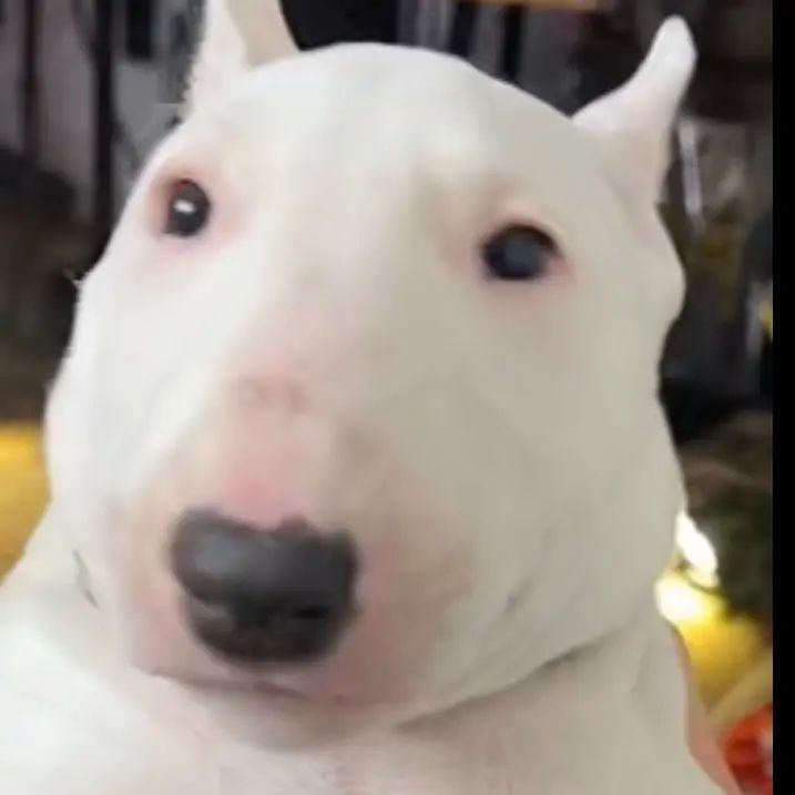 Profile Picture of maribelmcfarland (@maribelmcfarland) on Tiktok