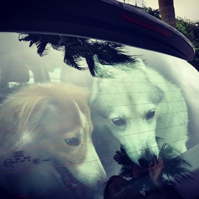 Profile Picture of Bai Ling (@UnderTheSeaNemo) on Twitter