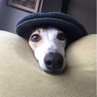 Profile Picture of Peter Hanlon (@PeterGHanlon) on Twitter