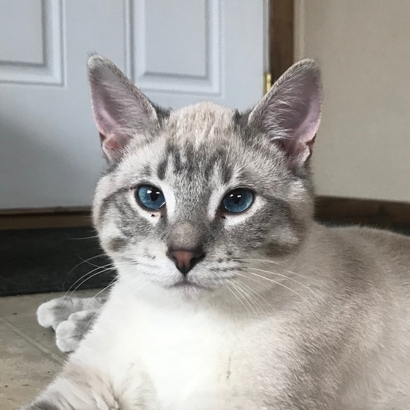 Profile Picture of Bryce Larson (@bdl61984) on Poshmark