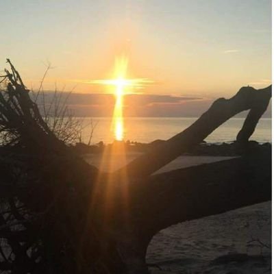 Profile Picture of Donna D Booker (@DonnaDBooker2) on Twitter