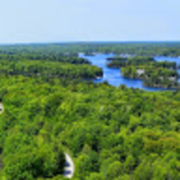 Profile Picture of Skyboard Skyboard (@skyboard999) on Poshmark