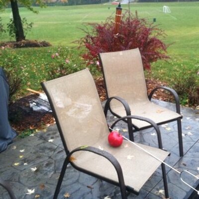 Profile Picture of Paul Berkes (@classy_paul) on Twitter