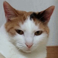 Profile Picture of Andy Jun (@andy-jun-6) on Quora