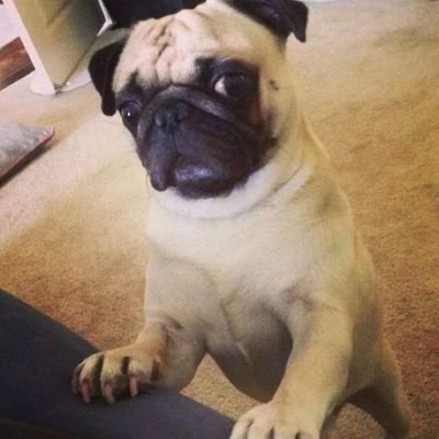 Profile Picture of Heladio Lopez (@wakini14) on Twitter