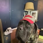 Profile Picture of Travis Clegg (@Travis-Clegg) on Facebook