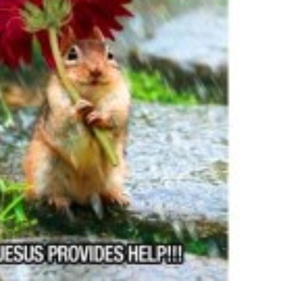 Profile Picture of Cindy Rodriguez (@senoraluna) on Poshmark