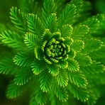 Profile Picture of Barkaa Awad (@Barkaa-Awad) on Facebook