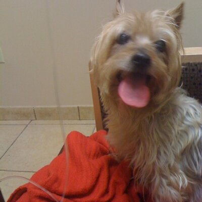 Profile Picture of Michael Popowitz (@herbn22) on Twitter