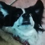 Profile Picture of Ben McCluskey (@bxn_mccluskxy) on Instagram